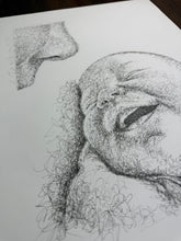 Load image into Gallery viewer, Scribble Portrait