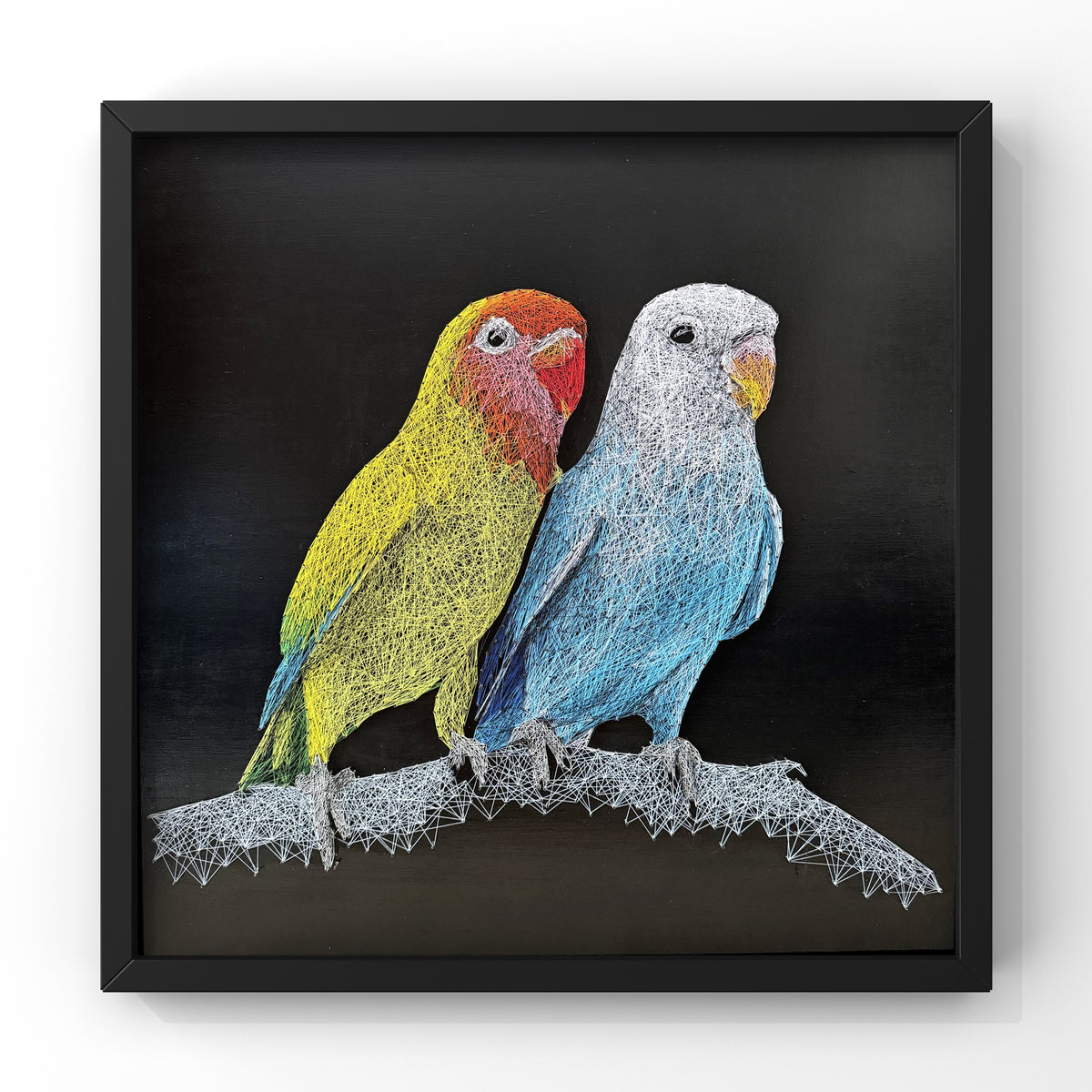Birds of the Air