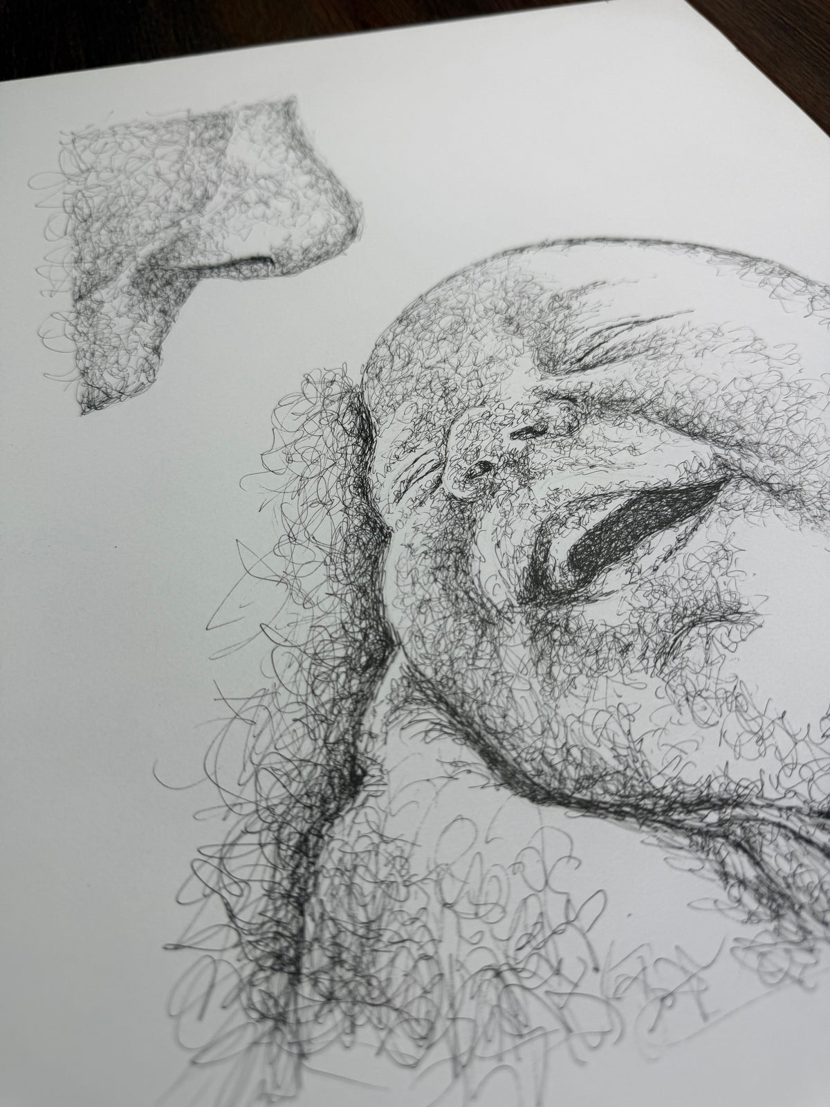 Scribble Portrait