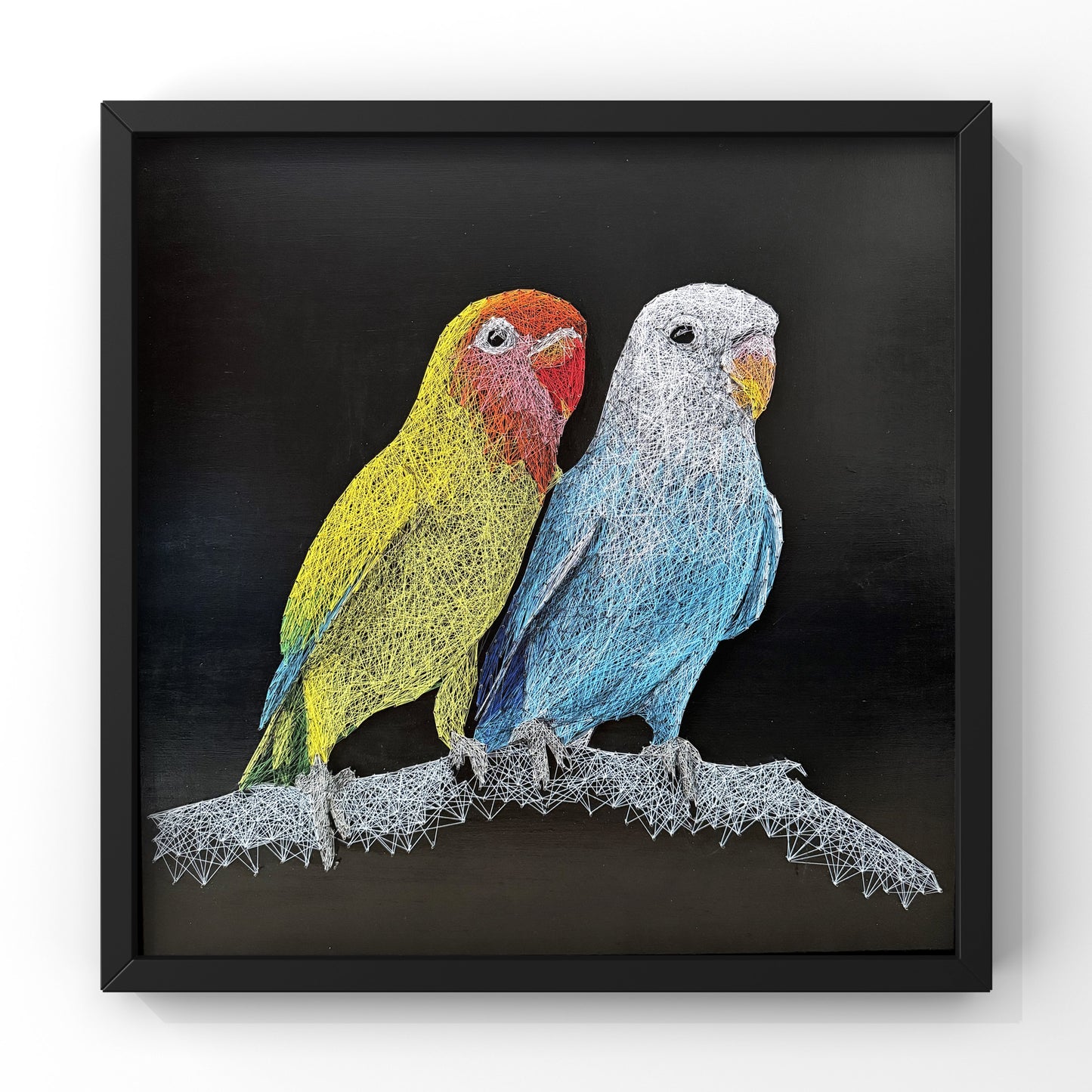 Birds of the Air