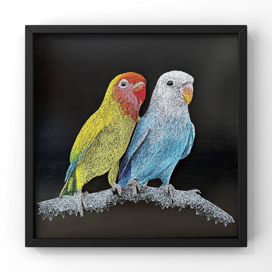 Birds of the Air