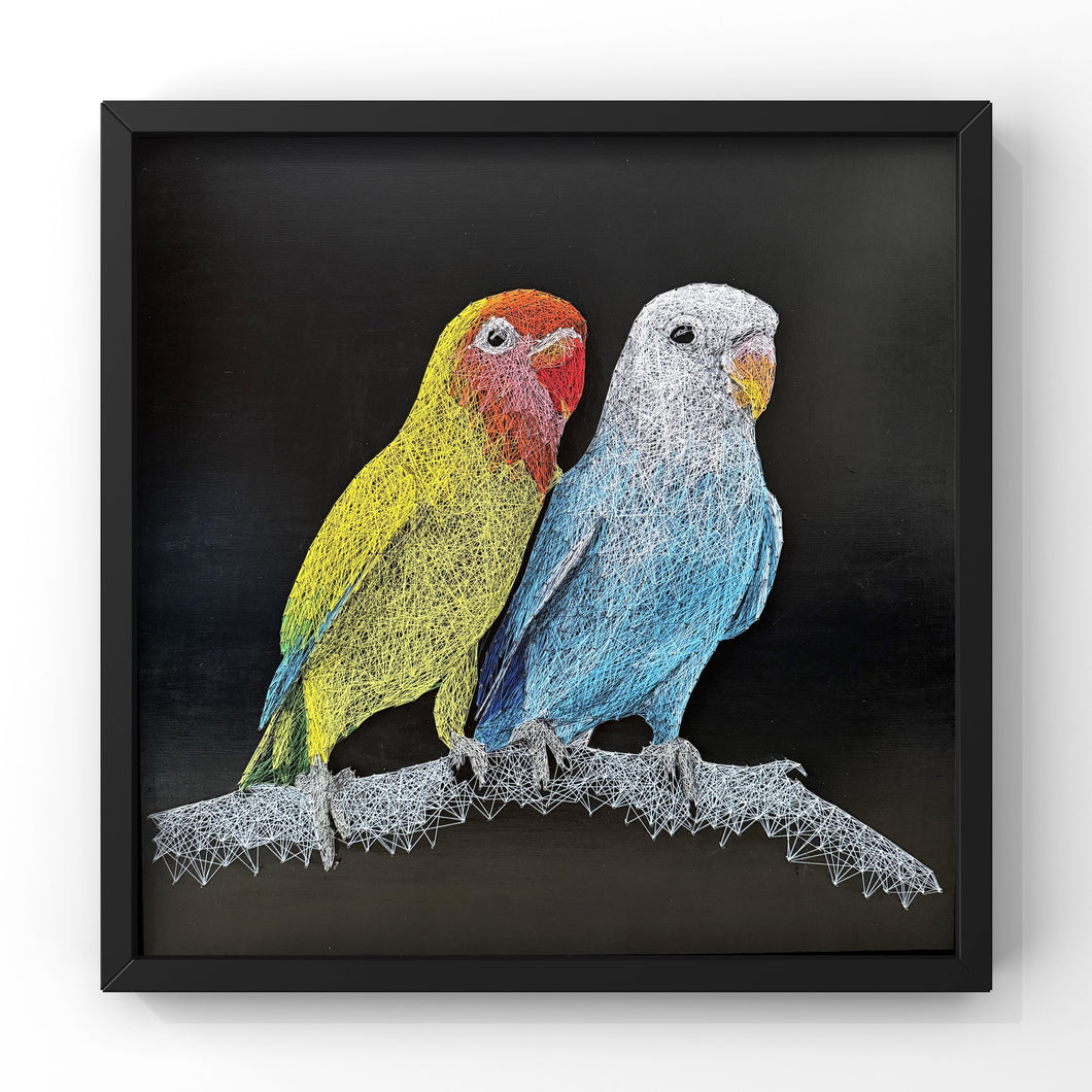 Birds of the Air